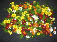 Image RN Fleurs